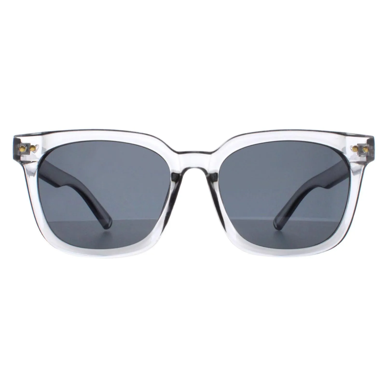 Atum Sunglasses Meraki C2 Shiny Transparent Grey Smoke Grey
